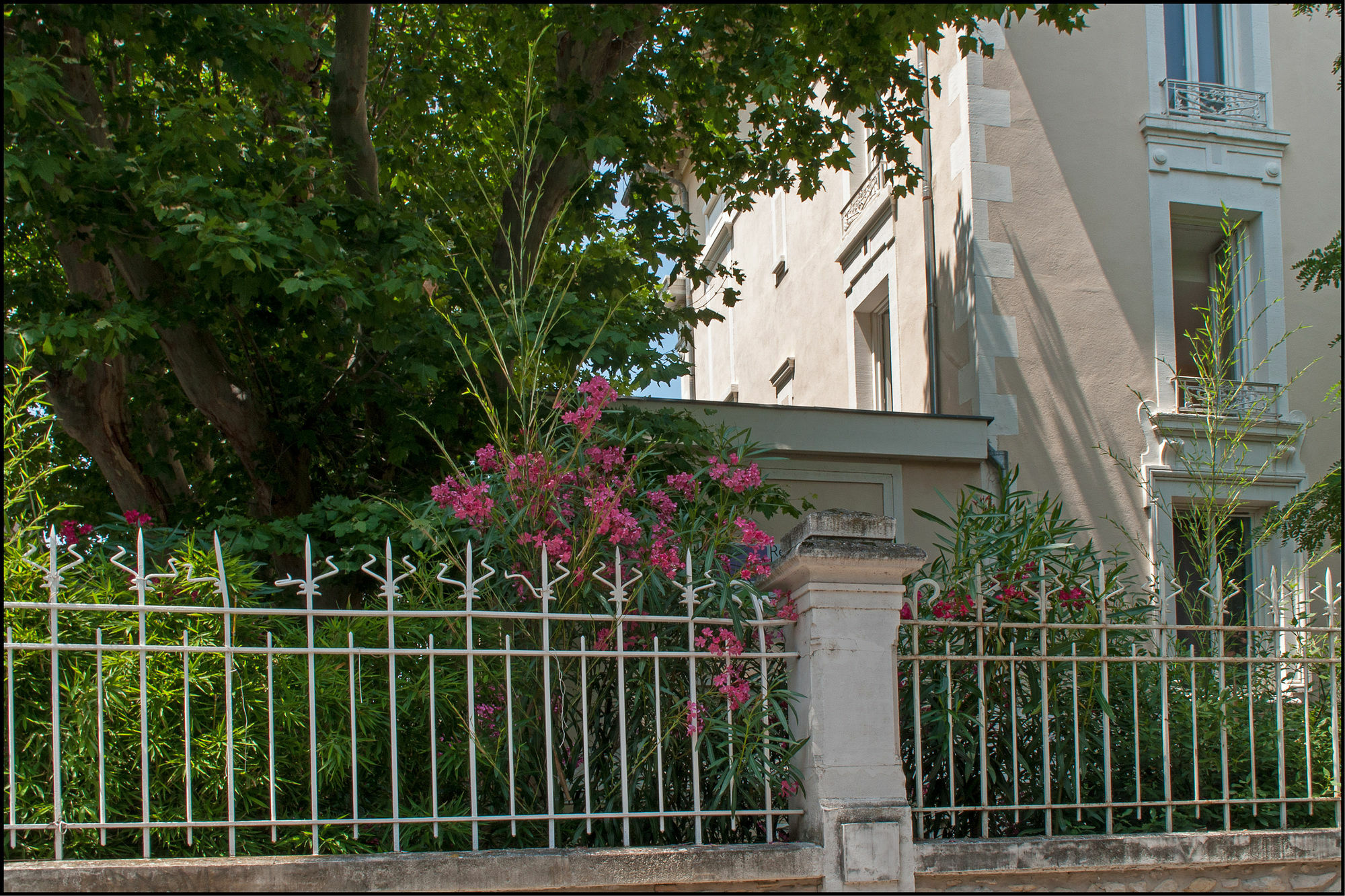 Residence Les Cordeliers Avignon Exterior photo